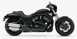 Night Rod® Special