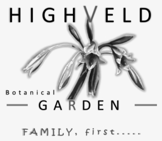 Cropped Hg Logo Plain Bw