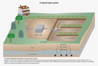 Iil Diagram Septic S