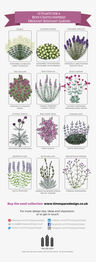 12 Plants For A Drought Resistant Garden