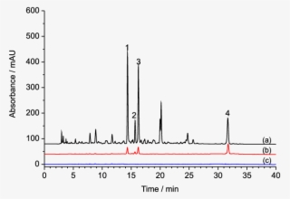 The Chromatograms Of P