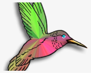 Rainforest Clipart African Rainforest