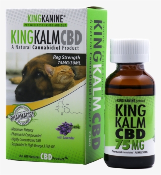 How Cbd Oil Will Change The Life Of Your Kitty Cat