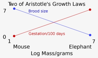 Two Of Aristotle's Growth Laws