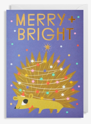 Merry & Bright Christmas Card