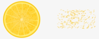 Lemon, Citron, Citrus, Food, Fruit, Orange, Slice - Orange Slice Png Transparent
