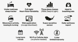 Features - Emfit Qs - Calligraphy