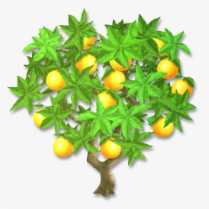 Orange Tree - Kilobyte