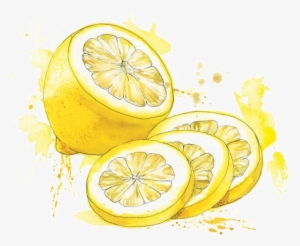 Clip Download Painting Food Illustration Lemon Transprent - Watercolor Painting