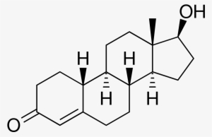 19 Nortestosterone