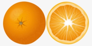 Clipart Of Citrus Fruit Background Vector - Transparent Image Orange