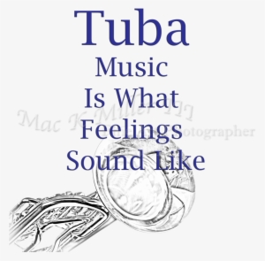 Comune Di Alba Adriatica