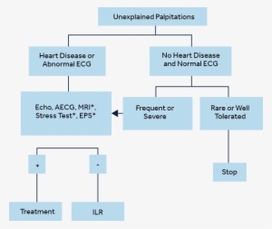 Erha Recommendations Flow Chart - Diagram