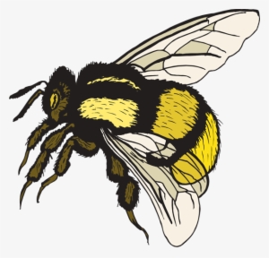 Bumble Bee Pictures Clip Art - Free Clip Art Bumble Bee