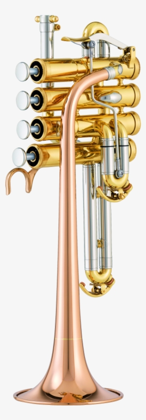 Shabaka Hutchings - Trumpet