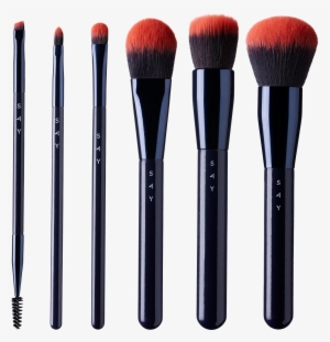 - 6 Basic Makeup Brushes
