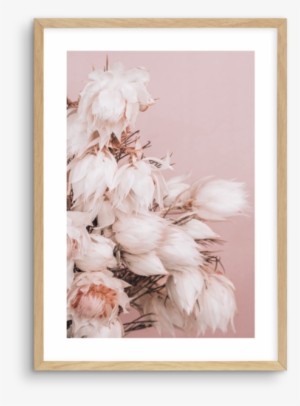 Blushing Bride No 2 - Chrysanths