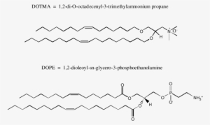 Chemical Structure Of Dotma And Dope Lipids - Lipid
