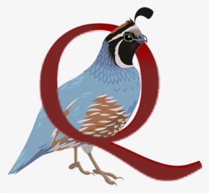 Woodstock-new Paltz Art & Crafts Fair - Art