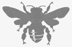 How To Set Use Gray Bee Clipart