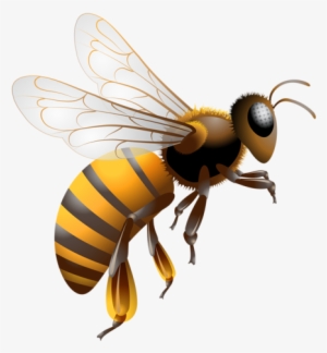 Cartoon Bee Clipart Character - Ee Or Jolly Phonics