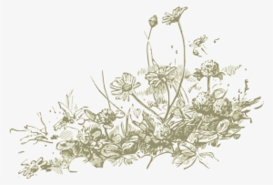 This Free Icons Png Design Of Wildflowers