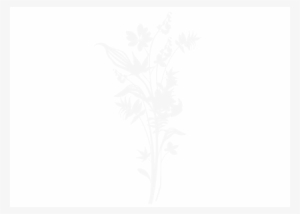 Adesivos De Geladeira