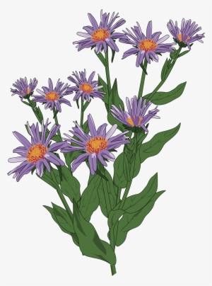 Wildflower Clipart Flowering Plant - Wild Flower Clip Art
