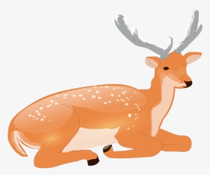 Free Photo From Needpix - Dibujo Z Venado Acostado