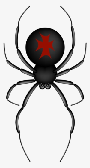 Png Free Download Gallery Halloween Png Pictures - Red And Black Spider Clip Art