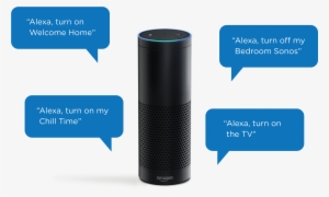 I Was Sitting In An It Architectural Planning Meeting - Amazon Alexa