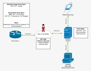 Network Findings Diagram - Amazon Echo Network Diagram