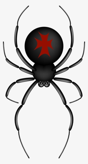 Black Widow Png Transparent Images - Red And Black Spider Clip Art