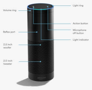 Color - Vivint Amazon Echo