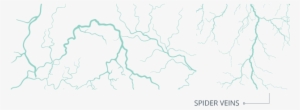 Veins Png Image - Cartoon