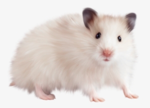Mouse Animal Free Png Image - Mouse Animal Png