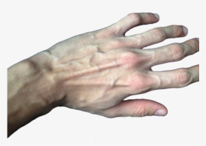 Lmao Hands Weheartit Fingers Png Transparent Veins - Transparent Hands
