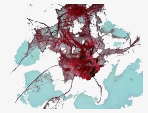 Nerves Veins Winter Ntp - Swamp Maple
