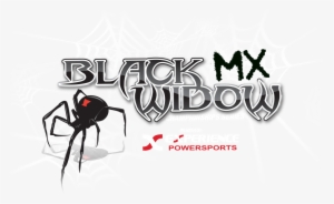 Black Widow Mx Series - Black Widow
