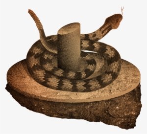 Google Home And Amazon Echo Are Constantly Listening, - Portable Network Graphics