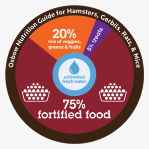 Your Mouse Is An Omnivore, Which Means He Eats Both - Circle
