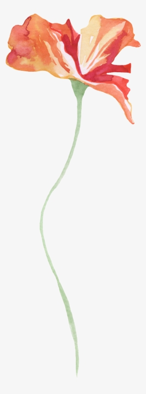 Slender Red Flower Decoration Vector - Ibis