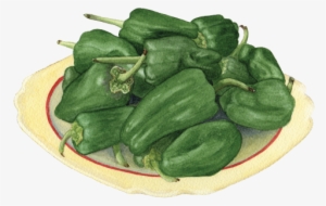Padron Peppers - Okra