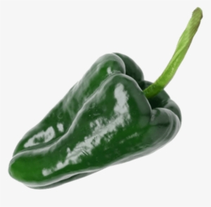 1 Unit - Poblano Chili