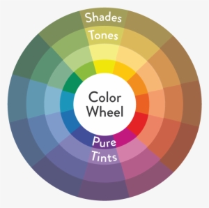 Pure Hues, Tints, Shades And Tones All In One Color - Tones Of Color