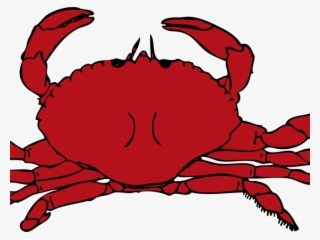 Hermit Crab Clipart Underwate Creature