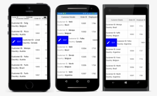 Loading Complex Views In Swipe Template In A Datagrid
