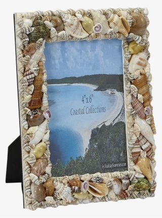 Photo Frame-natural Shells 4x6"