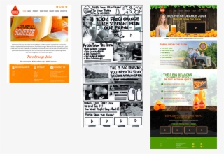 Ecstatic Business Owners Who Have Experienced “the