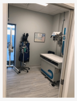 Exam Room At Longwood Animal Hospital And Pet Resort